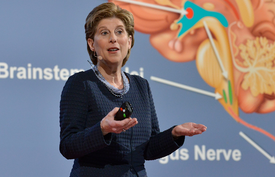 When it comes to heart and brain disorders, sex matters