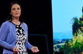 Using biophilic design to heal body, mind, and soul