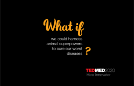 What if we could harness animal superpowers to cure our worst diseases?